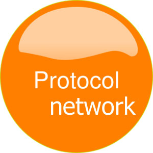پروتوکل شبکه